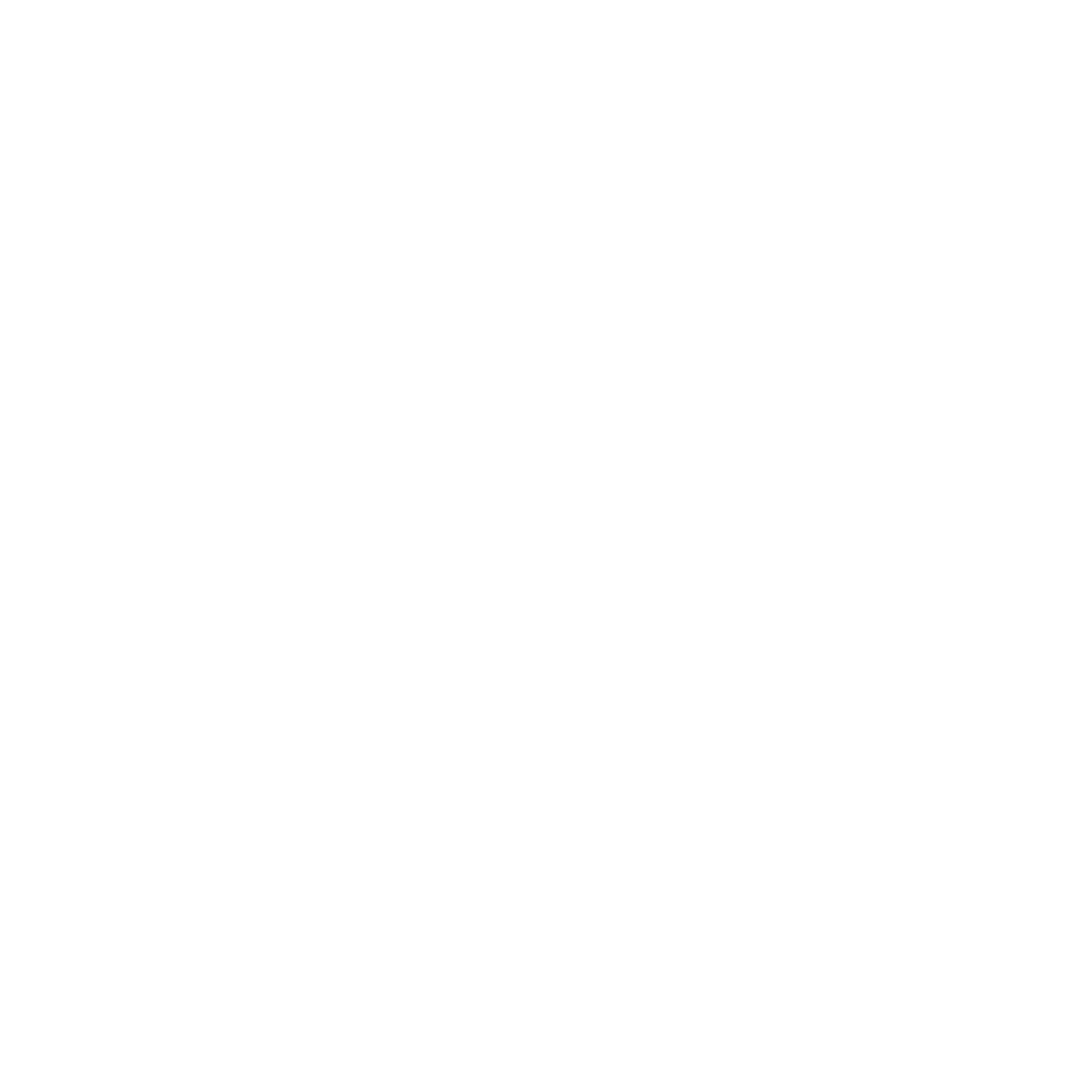 Kick Out Zwarte Piet